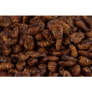 Dried silkworm pupae 10620 Koi food Birds Reptiles Fish food 1 kg