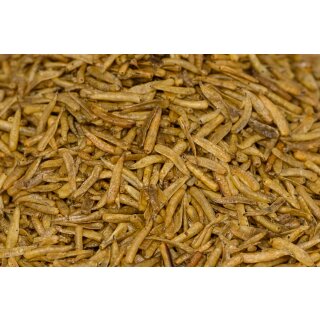 Fliegenlarven Maden 10600 Fischfutter Vögel Reptilien 1 Liter